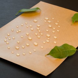 Smurfit Kappa opens up a new world of possibilities with water-resistant paper